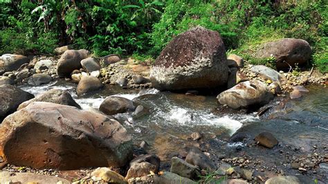 Image result for Water Stream Relaxation