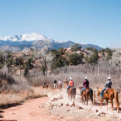 ACADEMY RIDING STABLES (2025) All You Need to Know BEFORE You Go (with ...