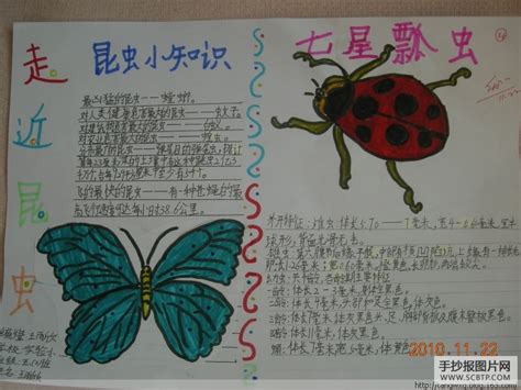 简单介绍小昆虫,如何介绍一种昆虫,介绍一种昆虫50字_大山谷图库