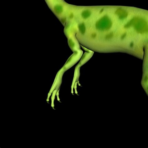 Compy 的图像结果