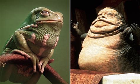 29+ Billie Eilish Jabba Pictures