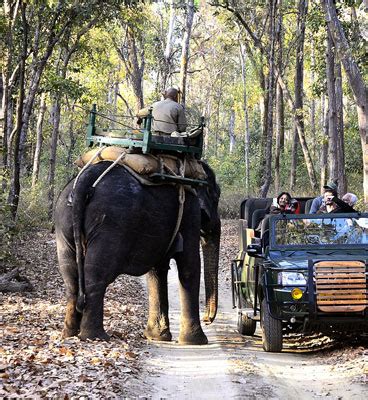 Safari Zones in Kanha National Park