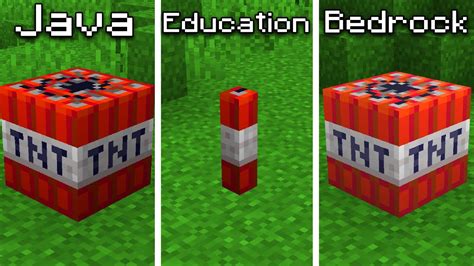 Image result for Bedrock vs Java Tree