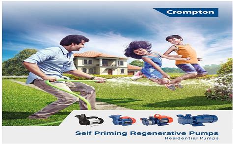 Crompton 0.5 hp water pump with water pressure boosting 24 liter tank ...