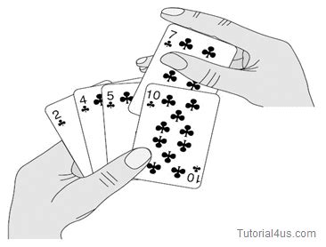 Insertion Sort in C | Insertion Sort Program in C