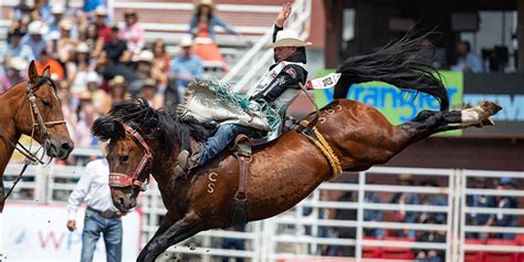 Calgary Rodeo 的图像结果