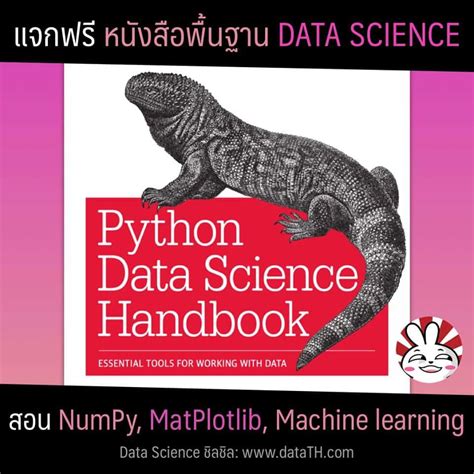 RVs Python Data Science 的图像结果