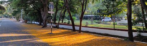 IIT Madras EMBA Admission 2022: Apply till October 10 - College Chalo