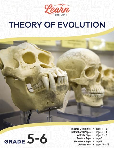 Evolution Theory Explained 的图像结果