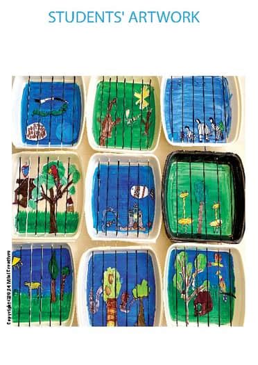 Image result for Animal Problem Solving