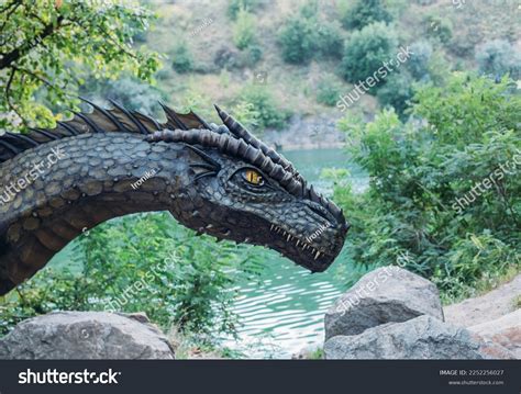Pictures Of Real Dragons