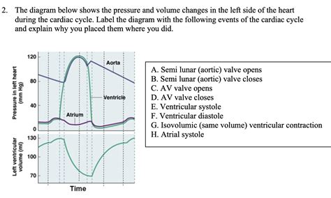Cardiac Cycle Explained 的图像结果