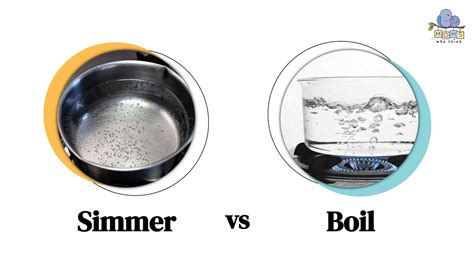 What Is The Difference Between Simmer And Boil | Detroit Chinatown