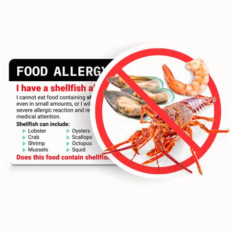 Shellfish Allergy Card | Your Shellfish Allergies Understood | Equal Eats