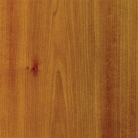 Yellow poplar: third most important hardwood in Eastern forests | Woodworking Network