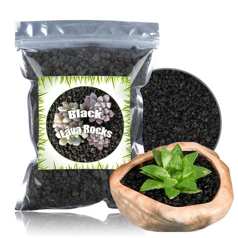 Buy Black Horticultural Lava Rock for Plants, 1.1LB No Dyes or ...