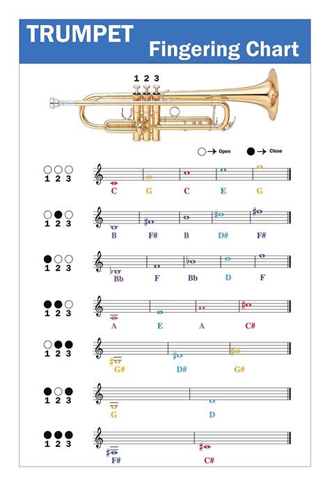 Best 13 Trumpet Fingering Chart with Color-Coded Notes, Learn Trumpet ...