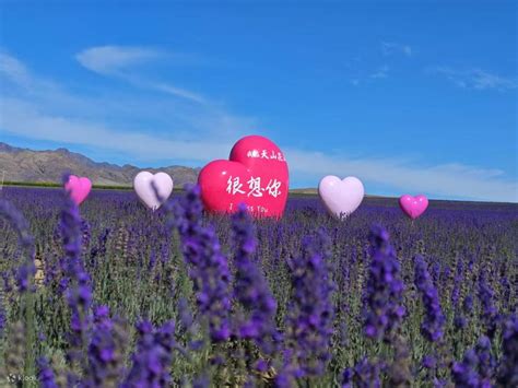 7-day tour in Yili, Xinjiang (Kruger Camp + Narat Muxing Valley + Xiata ...