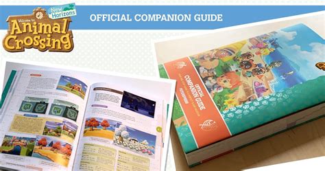 Animalcrossing Tutorial Guide 的图像结果