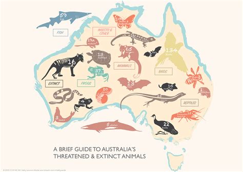 Endangered Animals in Australia: Species, Threats, Trends, Conservation | Sea Life, Islands and ...