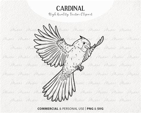 Flying Cardinal Clipart