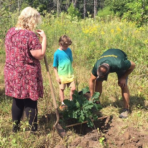 Image result for Community Tree-Planting