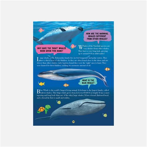 Buy Dreamland Animal World Children Encyclopedia - All About Trivia ...