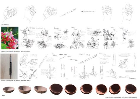 Aggrandizing The Nikol Lake | CEPT - Portfolio