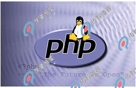 PHP培训_PHP培训机构_PHP培训学校_PHP培训班-云和PHP培训