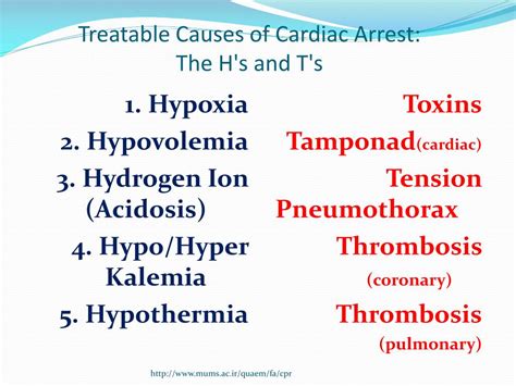 PPT - ACLS Advanced cardiac life support PowerPoint Presentation, free ...