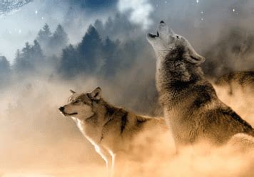 Image result for Dream Wolves