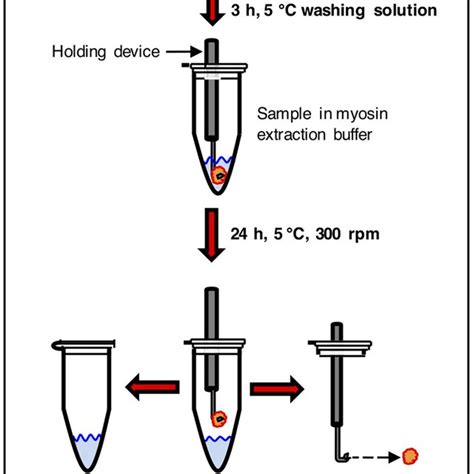 Image result for Tissue Sample