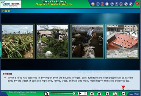 Infographics | Biology | Digital Teacher