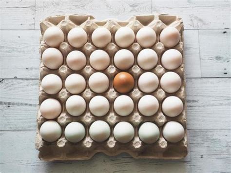 Image result for Difference Table Video