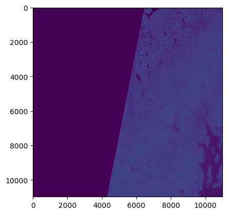 Raster Package Python 的图像结果