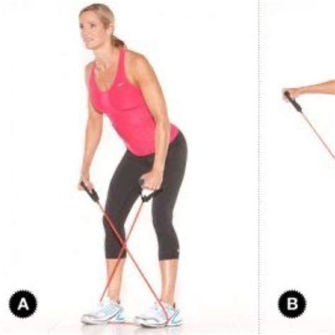 Image result for Bent Over Dumbell Flys Using Bench