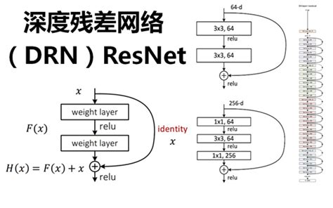 ResNet及其变种的结构梳理、有效性分析与代码解读 - 知乎