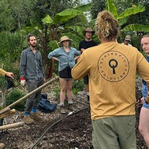 Food Forest (Syntropic Agroforestry) Workshop at The Paddock Project ...
