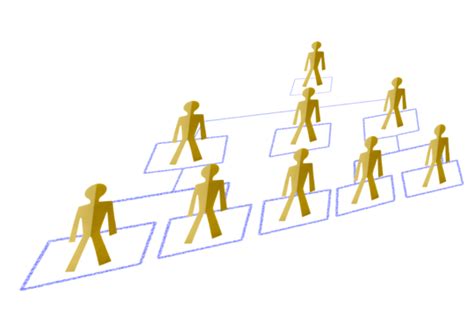 Organization Graphic PNG 的图像结果