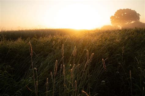 Obituary Notifications | Bilbrey Funeral Home and Cremation Service