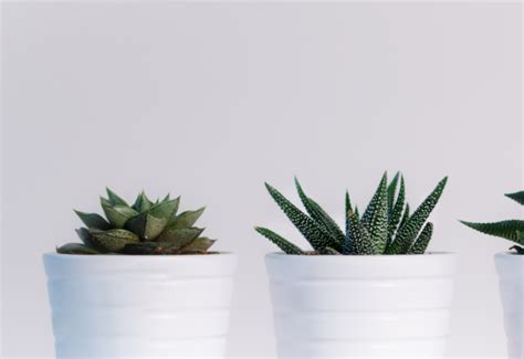 Image result for Hyper Cube Web Server