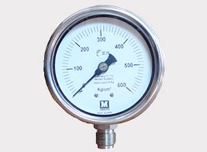 Compact Sealed Gauge, Extended Diaphragm Seal, Diaphragm Seal Unit ...