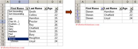 Excel Filtering Tables 的图像结果