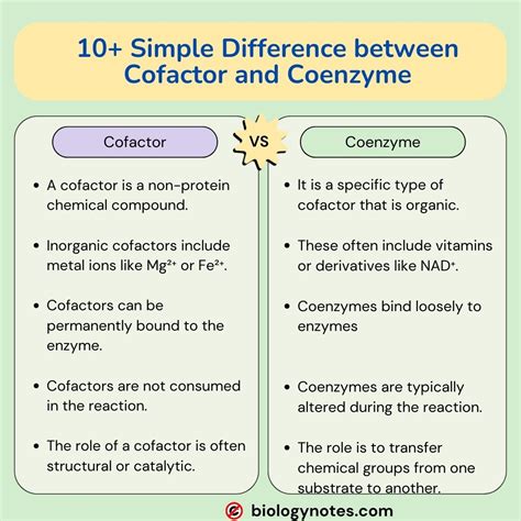 Cofactor Vs Coenzyme