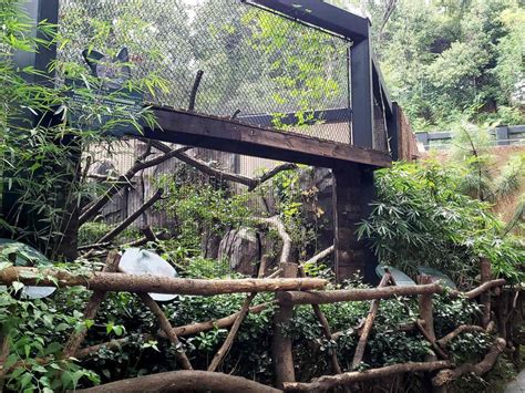 ZooLex Image - Leopard cat exhibit