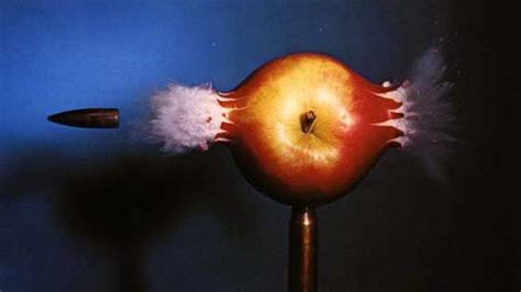 Image result for Random Object Photography