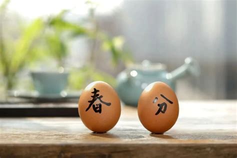 春分立蛋 教你3种作弊技巧_中国习俗_习俗文化_食品科技网