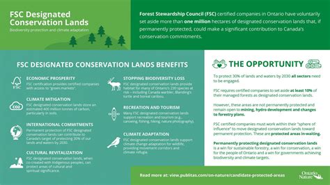 Opportunity to Protect Nearly One Million Hectares of Forest - Ontario Nature