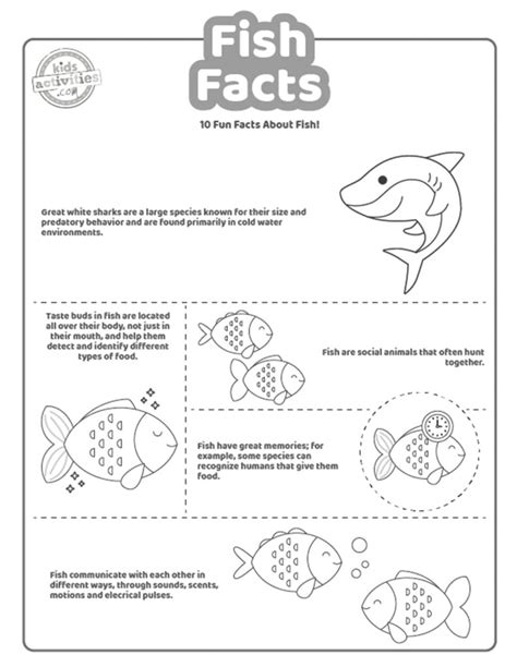 Image result for Fish Facts