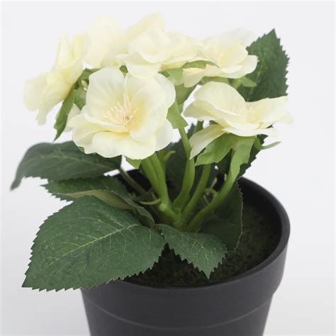 Buy Garnet Garden Artificial Blossom Plant in Pot from Home Centre at ...